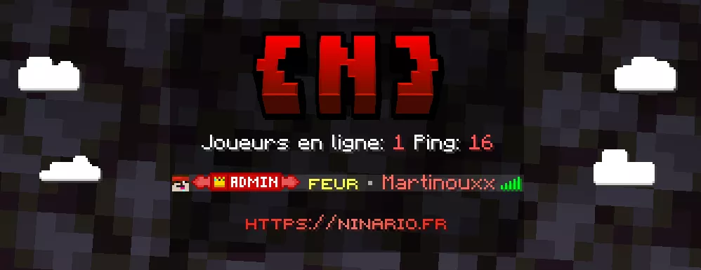 Tag Personnalisé